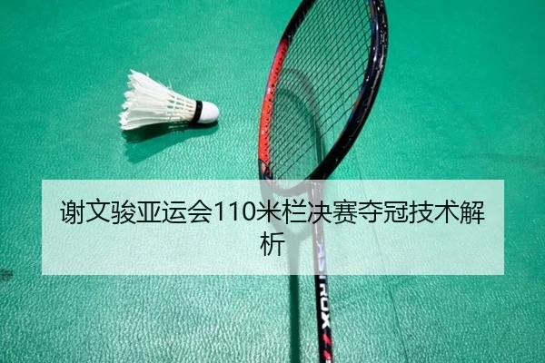 谢文骏亚运会110米栏决赛夺冠技术解析 - yinghuang